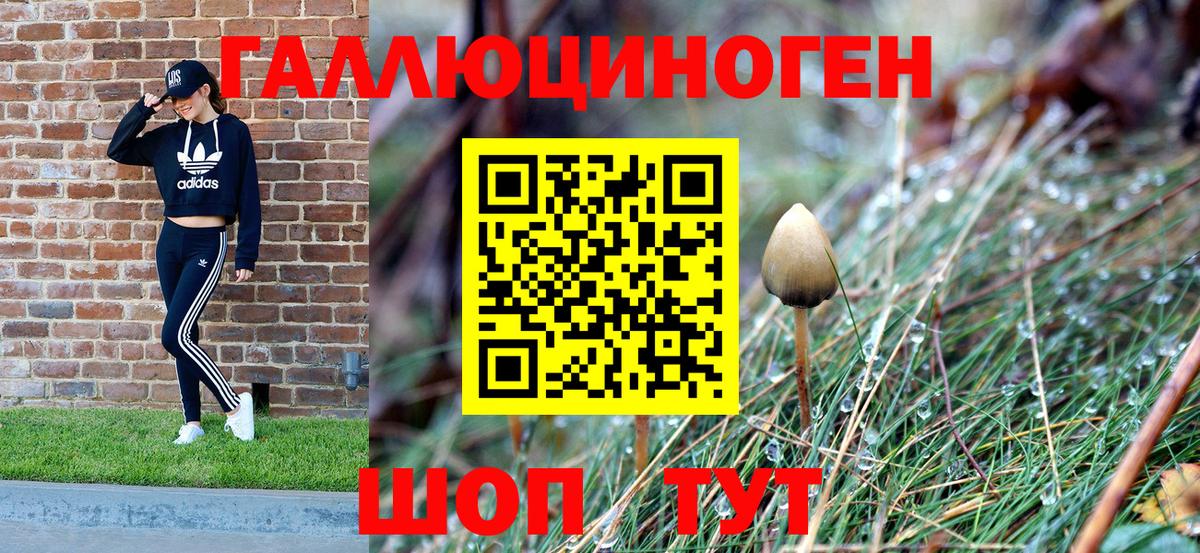 Псилоцибиновые грибы GOLDEN TEACHER Джанкой