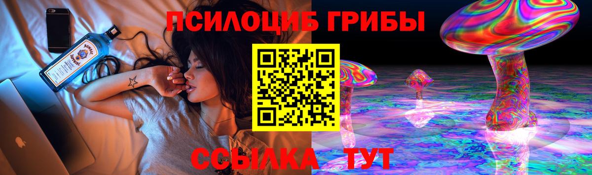 Псилоцибиновые грибы мицелий  Галлюциногенные грибы Cubensis  Джанкой  Вход с VPN 